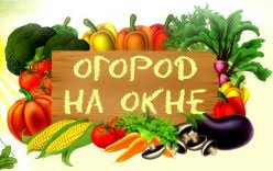 Огород на окне Огород на окне.